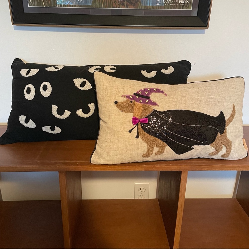 Set of 2 decorative Halloween seasonal throw pillows